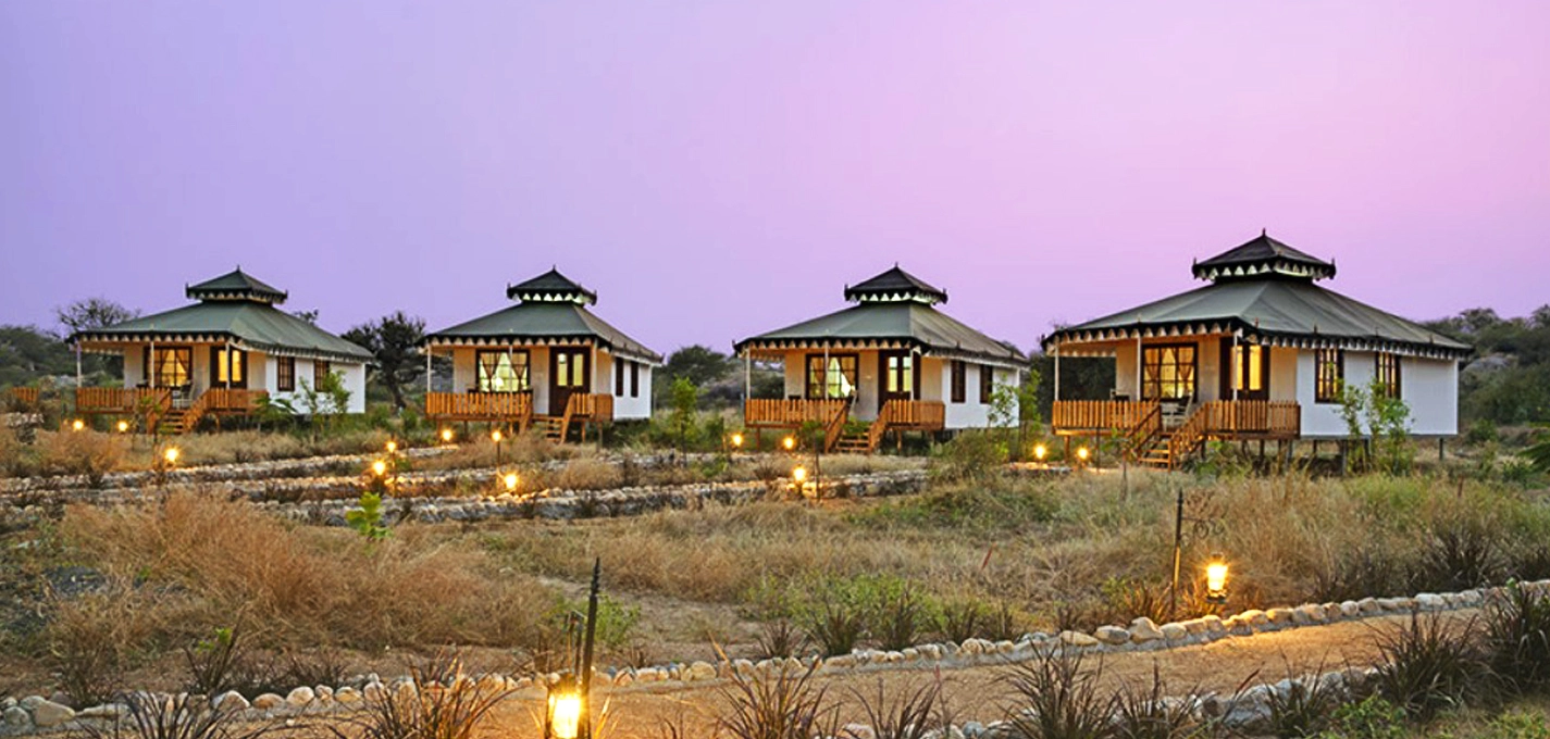 Jawai Leopard Safari